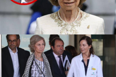 En la sombra del Palacio y lejos de los focos mediáticos, hay un nombre que se repite cada vez que la reina Sofía aparece en público en uno de los momentos más delicados de su vida. No es un familiar, no es un político, pero nunca se separa de ella. Su presencia constante ha despertado preguntas, especulaciones y un creciente interés. Se trata de Arturo Coello, el hombre que se ha convertido en el apoyo silencioso de la Emérita en una etapa marcada por pérdidas personales, ausencias dolorosas y un aislamiento cada vez más evidente dentro de la Familia Real. ¿Quién es realmente este militar discreto? ¿Por qué su papel resulta ahora más visible que nunca? ¿Y qué revela su cercanía sobre la situación emocional de la reina Sofía? Nada es casual cuando el silencio empieza a hablar.|TH