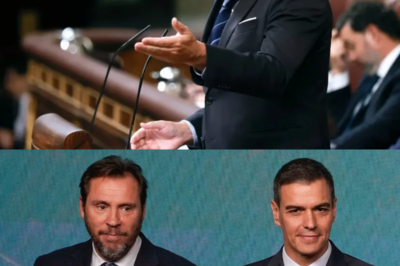 Óscar Puente acaba de soltar una propuesta que ha dejado a medio país con el gesto torcido… y lo dijo tan tranquilo en plena entrevista |BV