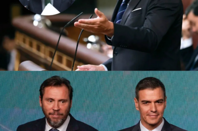 Un solo mensaje. Pocas palabras. Y de repente, el ruido cambia. Óscar Puente rompe el silencio y responde a quienes llevan años anunciando el final del presidente |BV