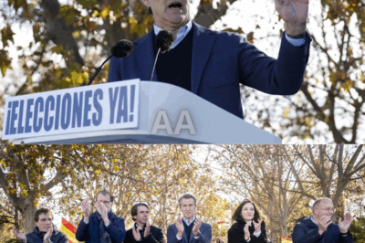 Núñez Feijóo apareció en la manifestación como si entrara en la escena clave de una película política |BV