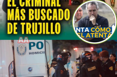 ¡EXPLOTA EL CASO! Un entramado conocido como “Los Pulpos” vuelve a sacudir la investigación por el crimen de Sergio Bolaños. Fuentes cercanas revelan que la banda —supuesta rama vinculada a un misterioso líder apodado “Jhonsson Pulpo”— podría esconder piezas clave que cambiarían todo el rumbo del caso. ¿Por qué reaparecen ahora? ¿Qué secreto temen que salga a la luz? La policía mantiene absoluto hermetismo… y eso solo aumenta las sospechas. La historia acaba de ponerse mucho más oscura.