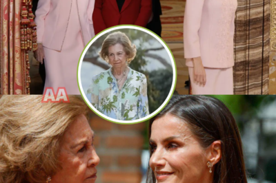 Pilar Eyre vuelve a encender la mecha en la Casa Real al revelar lo que muchos sospechaban pero nadie se atrevía a decir: la guerra fría entre la reina Sofía y la reina Letizia está más viva que nunca. Según la experta, Sofía ha pasado toda una vida perfeccionando el arte de ocultar cada emoción, cada tensión, cada herida, mientras que Letizia, por más que lo intente, deja escapar en su rostro cada pensamiento incómodo. Eyre insinúa que detrás de esas miradas fugaces en los actos oficiales y esos silencios que todos notan, se esconde un conflicto profundo, personal y jamás resuelto, que la Casa Real intenta tapar a cualquier precio. Lo más inquietante es que la periodista asegura que hay episodios nunca contados que podrían explicar la distancia entre ambas… y que, según ella, “cuando esa verdad salga a la luz, cambiará por completo la imagen de la Familia Real”. ¿Qué secreto están intentando proteger?