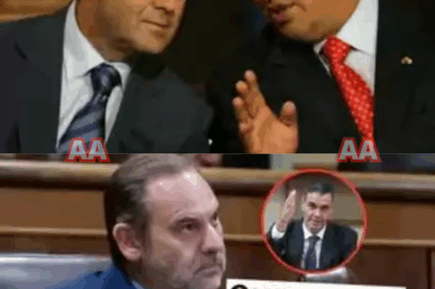 Un nuevo escándalo político sacude España. Desde la oposición denuncian que el PSOE estaría reactivando —en secreto— un supuesto plan para nacionalizar a inmigrantes irregulares a toda prisa con tal de inflar el censo electoral. No hay pruebas oficiales, pero las filtraciones y los rumores son cada vez más explosivos.  Fuentes críticas aseguran que este método “ya se habría probado hace años” y que ahora Sánchez lo recuperaría para salvar su futuro político. Ferraz calla. Las sospechas crecen. Y el país entero se pregunta:  ¿Golpe electoral encubierto… o simple guerra sucia entre partidos?