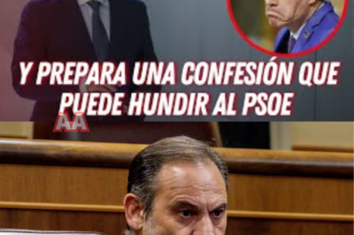La calle ESTALLA contra Sánchez: crece el clamor por su misteriosa “doble vara” con Ábalos Lo que empezó como murmullos ahora es un auténtico estallido popular: miles de voces señalan la inexplicable actitud de Pedro Sánchez hacia Ábalos. Mientras el presidente intenta proyectar calma, en la calle aumenta la sensación de que algo no cuadra. ¿Por qué un día se distancia y al siguiente calla? ¿Qué hay detrás de esa ambigua relación que nadie consigue descifrar? La presión crece, el descontento hierve… y muchos temen que lo que aún no se ha contado sea lo más explosivo de todo.