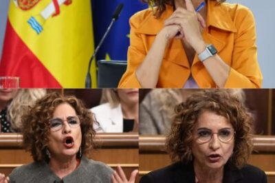 Persecuciones, inseguridad jurídica y presión fiscal: ¿Sientes el acoso de Hacienda? Descubre ahora cómo estas tres plagas acorralan tu economía. Haz clic y conoce tus derechos antes de que sea tarde. ¡La verdad que el Gobierno no quiere que sepas!|TH