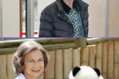 ¡Increíble! A los 87, la Reina Sofía materializa su gran sueño de vida|TH