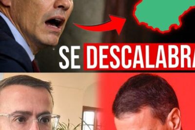 Algo se ha roto en Extremadura y ya no hay vuelta atrás. Los resultados y el clima político han encendido todas las alarmas en la izquierda, que asiste atónita a una caída que nadie quiso ver venir. El desgaste interno, los mensajes contradictorios y la desconexión con el electorado han provocado un derrumbe que va mucho más allá de unas simples cifras. Mientras la derecha consolida posiciones y Vox capitaliza el descontento, los partidos de izquierda se enfrentan a un escenario incómodo: pérdida de apoyo, crisis de liderazgo y una base social cada vez más fría. En los despachos ya se habla de errores estratégicos y de una ruptura profunda con la calle. La pregunta que flota en el aire es inquietante: ¿estamos ante un bache puntual… o el principio del fin en Extremadura?|TH