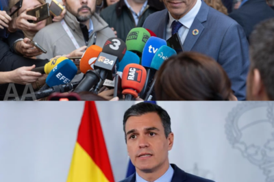 Pedro Sánchez thought he was in control. But the words that followed shattered the script, flipped the power dynamic, and left the audience stunned |BV