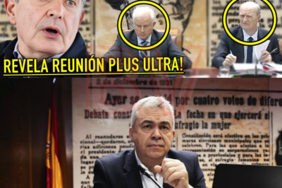 Nadie esperaba que llegara tan lejos… y entonces Cerdán habló bajo juramento |BV