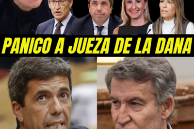 PÁNICO TOTAL EN GÉNOVA: LOS WHATSAPPS DE LA DANA ACORRALAN A FEIJÓO, LA JUEZA APRIETA Y EL FANTASMA DEL “COLABORADOR NECESARIO” YA SOBREVUELA.HH