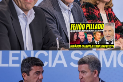 ESCÁNDALO:FEIJÓO PILLADO MINTIENDO CUANDO M0RÍAN VALENCIANOS.MIRÓ ESCALDA PERIODISTA.ESTABA DE FARRA.HH