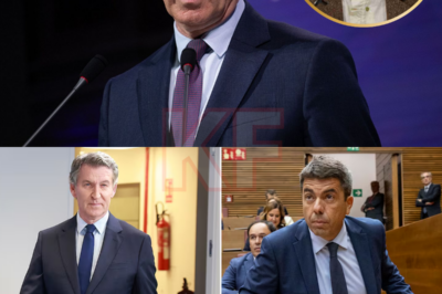 No fueron los políticos los que alzaron la voz. Fueron las víctimas. La Asociación de Víctimas de la Tragedia de la DANA reaccionó tras conocerse toda la conversación entre Feijóo y Mazón, y lo que más les dolió no fue lo que se dijo, sino lo que nunca se reveló. Nada de consignas, nada de política: solo decepción, rabia contenida y una herida que sigue sin cicatrizar.