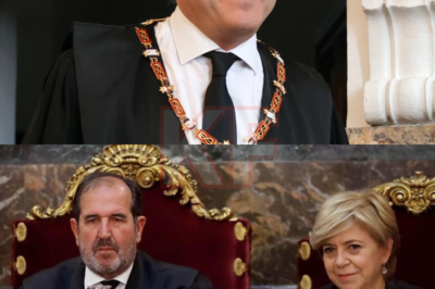 De confirmarse, esto sentaría un precedente extremadamente peligroso. La solicitud de indulto para el Fiscal General Álvaro García Ortiz tras el veredicto de culpabilidad de la Corte Suprema no solo levanta sospechas de injerencia política, sino que también somete al sistema judicial a una prueba sin precedentes. La opinión pública comienza a preguntarse: ¿puede la justicia mantener su independencia cuando el veredicto involucra directamente a figuras clave del poder? ¿Y quién pagará las consecuencias si se difuminan los límites entre el gobierno y los tribunales?