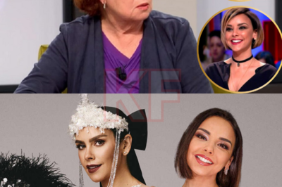 En medio de la intensa división en redes sociales tras la Nochevieja entre Pedroche y Chenoa, Rosa Villacastín se pronunció inesperadamente, identificando claramente a la verdadera ganadora. Sin ambigüedades ni equívocos, su valoración cambió la percepción que muchos tenían del espectáculo, impulsando a numerosos espectadores a reexaminar cada momento desde una perspectiva diferente. Una opinión aparentemente personal… pero que tocó la fibra sensible, provocando una nueva ola de reacciones. No se trataba solo de vestidos o actuaciones. Se trataba de una pregunta más importante: ¿Quiénes dejaron huella y por qué?