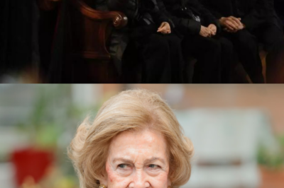 “Esta vez, Sofía no podía seguir.” La Reina ha tomado una decisión inesperada: cancelar toda su agenda oficial mientras el estado de salud de su hermana Irene se vuelve crítico. Dos actos previstos en Las Palmas quedan en suspenso y el silencio se impone en Zarzuela. Lo que parecía un simple reajuste institucional esconde una preocupación profunda y personal. ¿Hasta qué punto es grave la situación… y qué no se está contando aún?(hh)