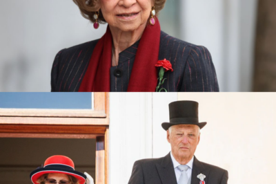 Contra el reloj… y contra todos los pronósticos. Superan los 80, no hablan de retiro y siguen cumpliendo agenda como si el tiempo no existiera. De la reina Sofía a Harald de Noruega, pasando por Ana de Inglaterra o Margarita de Dinamarca, estos royals desafían la edad, el cansancio y las reglas no escritas de la monarquía moderna. ¿Vocación, deber… o una forma silenciosa de poder que se resiste a desaparecer?(hh)