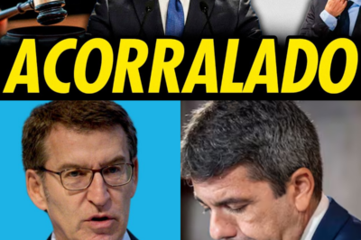 FEIJÓO ACORRALADO POR LA DANA: LA JUEZA EXIGE SUS WHATSAPPS CON MAZÓN Y EL RELATO DEL PP SE DESMORONA MENSAJE A MENSAJE.HH