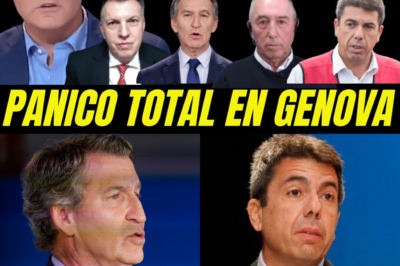 “FEIJÓO, BAJO SOSPECHA PENAL”: el juez advierte que podría ser acusado de falso testimonio por mentir ante la magistrada de la DANA mientras salen a la luz mensajes, contradicciones y una estrategia para salvar a Mazón.HH