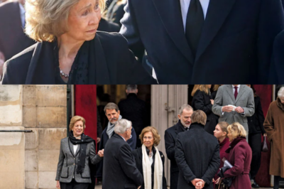 Viajó a París… pero no solo para despedirse. La reina Sofía acudió al funeral de Tatiana Radziwill con el corazón encogido, marcada por una pérdida que va más allá del adiós público. Mientras cerraba una etapa de su vida, otra preocupación la desvelaba en silencio: Irene de Grecia. Agenda en pausa, tristeza acumulada y una Reina que afronta uno de sus momentos más frágiles lejos de los focos. ¿Cuántos duelos puede sostener un mismo corazón?(hh)