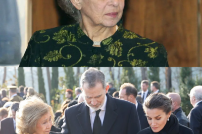 “Nada fue elegido al azar en su despedida…” El último adiós a Irene de Grecia guarda un detalle profundamente íntimo: la capilla ardiente se instalará en un lugar muy especial para ella, el mismo al que acudía en silencio en Madrid. Antes de que sus restos descansen definitivamente en Tatoi, amigos y conocidos podrán despedirse allí, lejos del protocolo y cerca de su vida real. Un gesto cargado de memoria y emoción. ¿Un simple homenaje… o la última decisión que define quién fue en realidad?(hh)