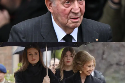 l Rey Juan Carlos, la ausencia que más duele en la despedida de Irene de Grecia: un problema de salud, una decisión forzada… y muchas preguntas sin respuesta.HH