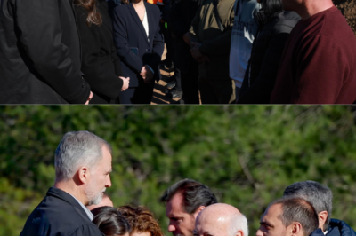 “No habló de medallas… habló de lo que nadie ve.” La reina Letizia envía un mensaje clave a Julio, el héroe de 16 años de Adamuz, y pone el foco donde casi nunca se mira: su salud mental. Tras salvar vidas en el accidente de trenes, el “ángel” adolescente carga ahora con una presión silenciosa. Un gesto íntimo, una advertencia necesaria y una Reina que entiende que el heroísmo también necesita cuidado. ¿Quién protege a quienes salvaron a todos?(hh)