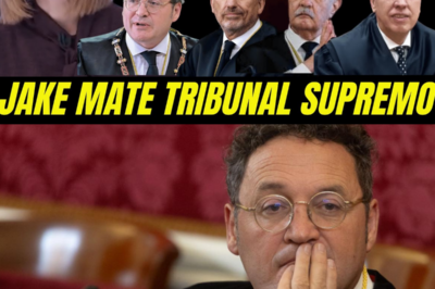 Absolución en el horizonte, choque institucional sin precedentes y una pregunta incómoda para Europa: ¿ha cruzado el Tribunal Supremo la línea al condenar al Fiscal General del Estado y vulnerar derechos fundamentales?HH