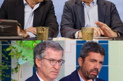 REVELADO OFICIALMENTE: Basta de especulaciones. Basta de rumores. Estos son los mensajes reales que Feijóo envió a Mazón el día del azote del tifón DANA.