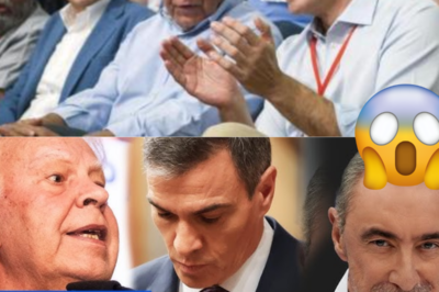 ¡TERREMOTO POLÍTICO EN ESPAÑA! Salen a la luz los archivos secretos del CNI sobre Pedro Sánchez en 2014: “Lo quitarán si se sale del guion pactado con Felipe González”. ¿Fue el actual presidente un simple títere de la vieja guardia? Descubre la oscura trama de control y las amenazas ocultas que marcaron su ascenso al poder. ¡La revelación que el Gobierno intentó ocultar por fin ha sido filtrada!|TH