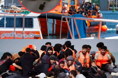¿Se ha perdido el control en el paraíso? La sombra del caos se cierne sobre Canarias.  Lo que antes era el refugio de paz del Atlántico, hoy se ha convertido en el epicentro de una crisis sin precedentes que mantiene a la población en un estado de alerta constante. La tensión ha escalado a niveles insostenibles: las calles de las islas son ahora el escenario de peleas violentas, robos sistemáticos y una inseguridad que parece no tener freno mediático ni político. ¿Qué es lo que realmente está ocurriendo en los centros de acogida?  Mientras las autoridades intentan maquillar las cifras, los videos filtrados por los vecinos muestran una realidad cruda que Univisión y otros medios apenas se atreven a rozar. La llegada masiva de inmigrantes ilegales ha desbordado los recursos locales, desatando un conflicto social que amenaza con explotar en cualquier momento. No es solo una crisis humanitaria, es un desafío a la seguridad ciudadana que podría cambiar el destino de las islas para siempre. La pregunta que todos se hacen y nadie responde: ¿Quién será el responsable cuando la situación sea irreversible? Quédate hasta el final para entender los detalles ocultos tras este estallido de violencia que el mundo prefiere ignorar.|TH