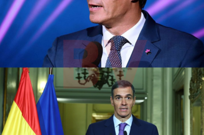 Pedro Sánchez volvió a apostar fuerte por un proyecto silencioso, presentado como estratégico y decisivo. Todo estaba calculado. Todo parecía bajo control |BV