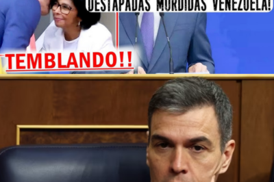 Un silencio incómodo empieza a recorrer los pasillos del poder. La trama de los hidrocarburos que investiga la Justicia, con cifras que se cuentan por miles de millones de euros, vuelve a situar el foco sobre José Luis Rodríguez Zapatero y abre la puerta a que el impacto político alcance incluso a Pedro Sánchez |BV