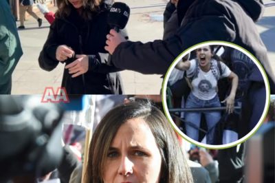 Algo se salió completamente de control en plena calle. Ione Belarra huyó sin responder a una sola pregunta de EDATV y, en cuestión de segundos, su escolta pasó de protegerla a empujar a los periodistas. Las cámaras lo grabaron todo. Silencio, tensión y forcejeos que han encendido las alarmas políticas. ¿Qué pregunta desató esta reacción? ¿Qué intentaba evitar la ministra? 👉 Entra y mira el momento exacto que nadie esperaba ver.