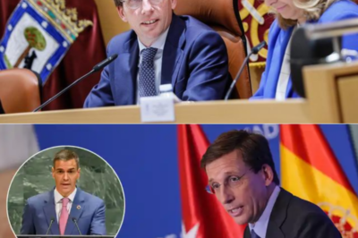 La guerra política por Campamento estalla sin control. Rodríguez y Almeida se señalan mutuamente como responsables del bloqueo mientras el proyecto sigue paralizado. Cruces de acusaciones, documentos que “faltan” y una pregunta que nadie responde: ¿Quién está diciendo realmente la verdad?