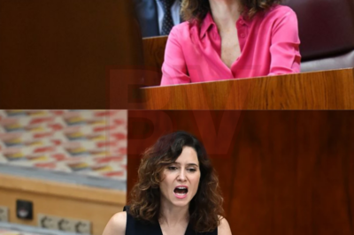 El Tribunal Constitucional asesta su último varapalo a Isabel Díaz Ayuso, una decisión que cae como un jarro de agua fría y reabre un frente que el Gobierno madrileño daba por cerrado |BV