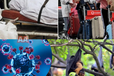 Última hora: el virus Nipah se descontrola y alertan a Australia para endurecer los controles fronterizos