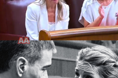 Sánchez se ausenta en plena tormenta política y Yolanda Díaz queda en el foco: el caso Koldo desata reacciones y ironía en redes La ausencia del presidente no ha pasado desapercibida mientras la vicepresidenta afronta sola la presión mediática. El caso Koldo vuelve a agitar el tablero político y provoca una avalancha de comentarios, muchos de ellos cargados de sarcasmo. ¿Estrategia calculada o simple coincidencia? Las imágenes y las reacciones hablan por sí solas.