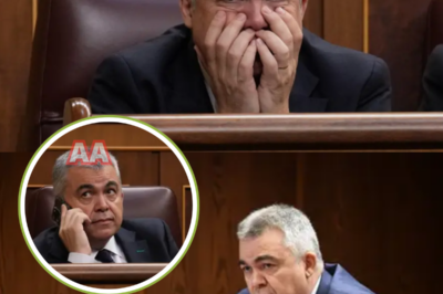 La política española vuelve a estar en el ojo del huracán. Santos Cerdán deberá declarar como querellado tras la denuncia presentada por Hazte Oír por un presunto falso testimonio en el Senado. El intento de Cerdán de archivar la causa ha fracasado: el juzgado rechazó su petición mediante una diligencia de ordenación que abre la puerta a nuevos y explosivos escenarios. ¿Qué dijo realmente ante los senadores? ¿A quién podría salpicar este caso? La tensión crece y las preguntas se multiplican. El desenlace promete sacudir los cimientos del poder. Haz clic y descúbrelo todo.