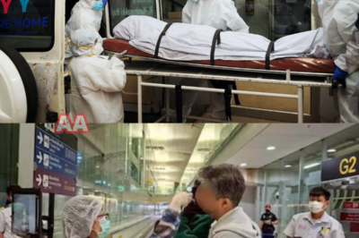 El virus Nipah enciende las alarmas en India y Asia: la enfermedad con alta mortalidad que preocupa a los expertos Las autoridades sanitarias han intensificado la vigilancia ante la aparición de nuevos casos. Se trata de un virus poco conocido por el gran público, pero que mantiene en alerta a la comunidad científica por su gravedad potencial. ¿Cómo se transmite? ¿Por qué su tasa de mortalidad es tan elevada? ¿Podría extenderse a otros países?  Un virus silencioso que vuelve a poner a prueba a los sistemas sanitarios.