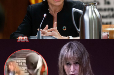 El choque mediático ha cruzado una línea peligrosa y ya está en manos de la Justicia. Un juez ha imputado a Ana Pardo de Vera por un presunto delito de coacciones tras su duro enfrentamiento con Ndongo, un episodio que ahora adquiere una dimensión judicial inesperada. Pero la historia no acaba ahí: Ndongo también la ha denunciado por un supuesto delito de odio después de que ella le llamara “gorila”. ¿Qué ocurrió realmente y hasta dónde puede llegar este caso? 👉 Entra y descubre por qué el conflicto se ha convertido en una bomba legal.
