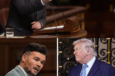 EL DISCURSO DE RUFÍAN SOBRE TRUMP QUE ARRASA: LA FRASE QUE ENCENDIÓ EL HEMICICLO Y DESCOLOCÓ A TODOS |BV