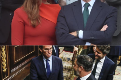 Feijóo y Abascal se enfrentan en público… y Extremadura paga el precio. Cruce de reproches, tensión creciente y negociaciones que podrían saltar por los aires en cualquier momento. Mientras ambos líderes elevan el tono en los medios, una pregunta flota en el ambiente: ¿Quién está jugando realmente con el futuro del gobierno autonómico?