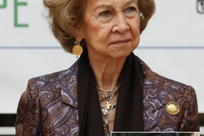 Del luto en Canarias al aplazamiento en Miami: el viaje secreto que la Reina Sofía reprogramó tras la muerte de Irene de Grecia y la gala millonaria que la espera al otro lado del Atlántico.HH