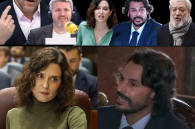 VARAPALO JUDICIAL AL NOVIO DE AYUSO: EL JUEZ LE DA UN ULTIMÁTUM Y LAS ACUSACIONES PIDEN INVESTIGAR SU IDENTIDAD FALSA EN QUIRÓN.HH