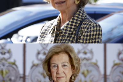 “Una sonrisa que lo dice todo.” La reina Sofía reaparece tras la muerte de su querida hermana con una sonrisa contenida y gestos de fortaleza serena. Este martes, la madre de Felipe VI ha estado en el Banco de Bizkaia, en la localidad de Basauri, cumpliendo agenda con discreción y respeto. El dolor sigue ahí, pero el deber también. ¿Cómo se vuelve cuando el corazón aún está de luto?(hh)