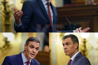 Lo que ocurrió en el Congreso dejó a diputados y espectadores intentando entender lo que acababan de presenciar. Una escena difícil de explicar, captada en pleno debate, colocó al PSOE bajo una presión inesperada.  Los gestos, las miradas cruzadas y el silencio posterior alimentaron todo tipo de interpretaciones. ¿Error puntual, estrategia mal calculada o síntoma de algo más profundo dentro del partido? La incredulidad se convirtió en tendencia y el impacto político podría ir más allá de un solo momento.