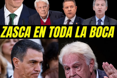 ¡GUERRA TOTAL EN EL PSOE! Pedro Sánchez LANZA UN MISIL ENVENENADO A Felipe González Y DESATA EL RUMOR QUE SACUDE 2027: ¿RUPTURA DEFINITIVA O JUGADA MAESTRA EN LA SOMBRA?HH