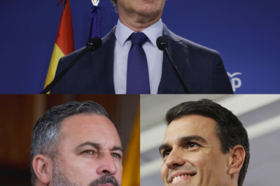 IGNACIO ESCOLAR LANZA UNA ADVERTENCIA QUE ERIZA A GÉNOVA: fractura con Vox, reproches de Aznar y el fantasma de un nuevo tropiezo electoral del PP que podría dejar a Feijóo contra las cuerdas antes de tiempo.HH