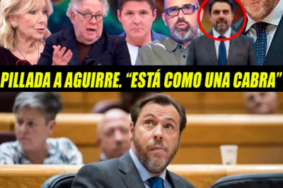 El esperpento judicial contra Óscar Puente: ultras, querellas fantasma, jueces en el punto de mira y la estrategia de convertir los tribunales en el verdadero campo de batalla política en España.HH