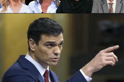 PEDRO SÁNCHEZ ESTALLA “TUMBA BULO A LA CAVERNA MEDIÁTICA BULO ESTADO DE SALUD” CAYETANA RECIBE ZASCA.HH